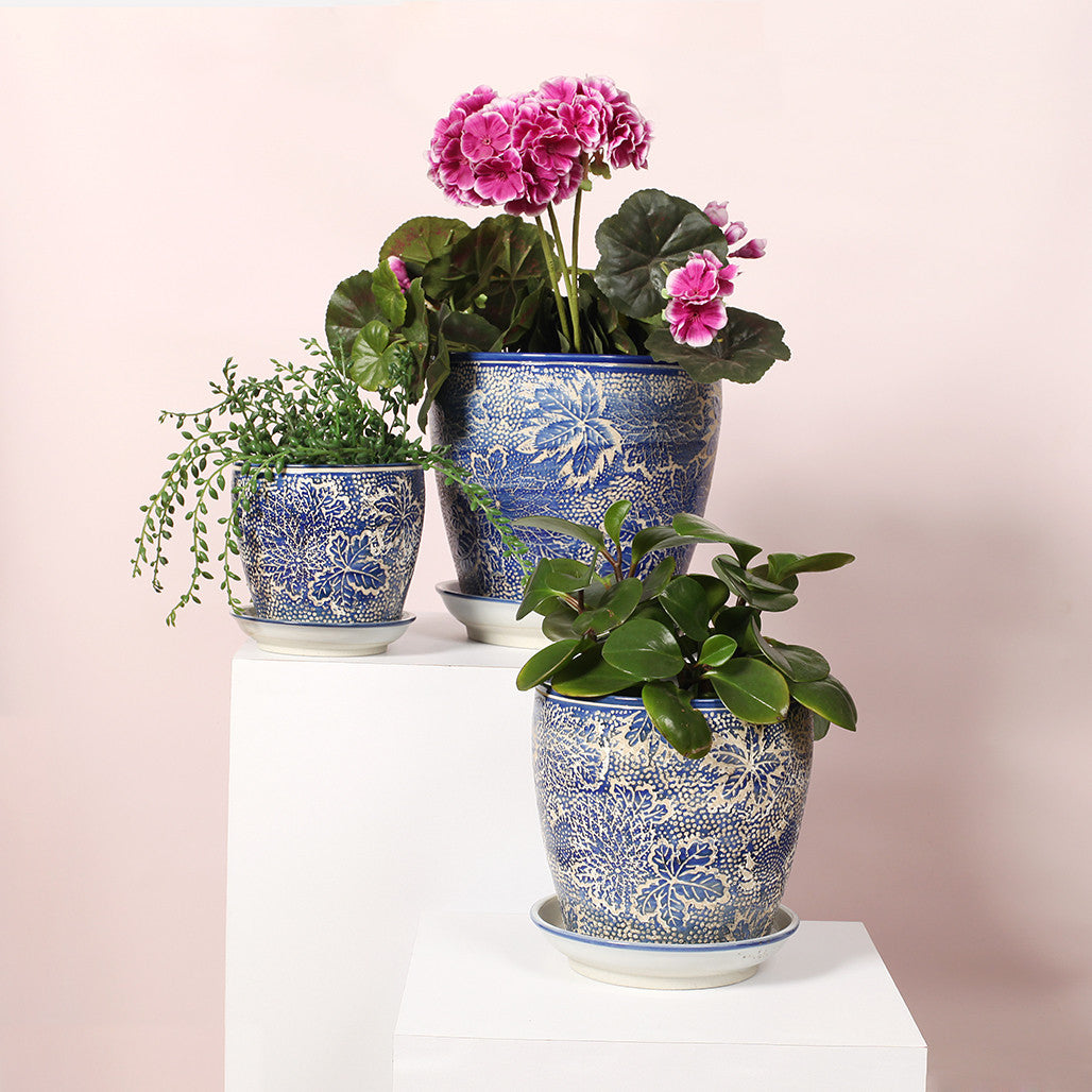 Hellebore Ceramic Planter