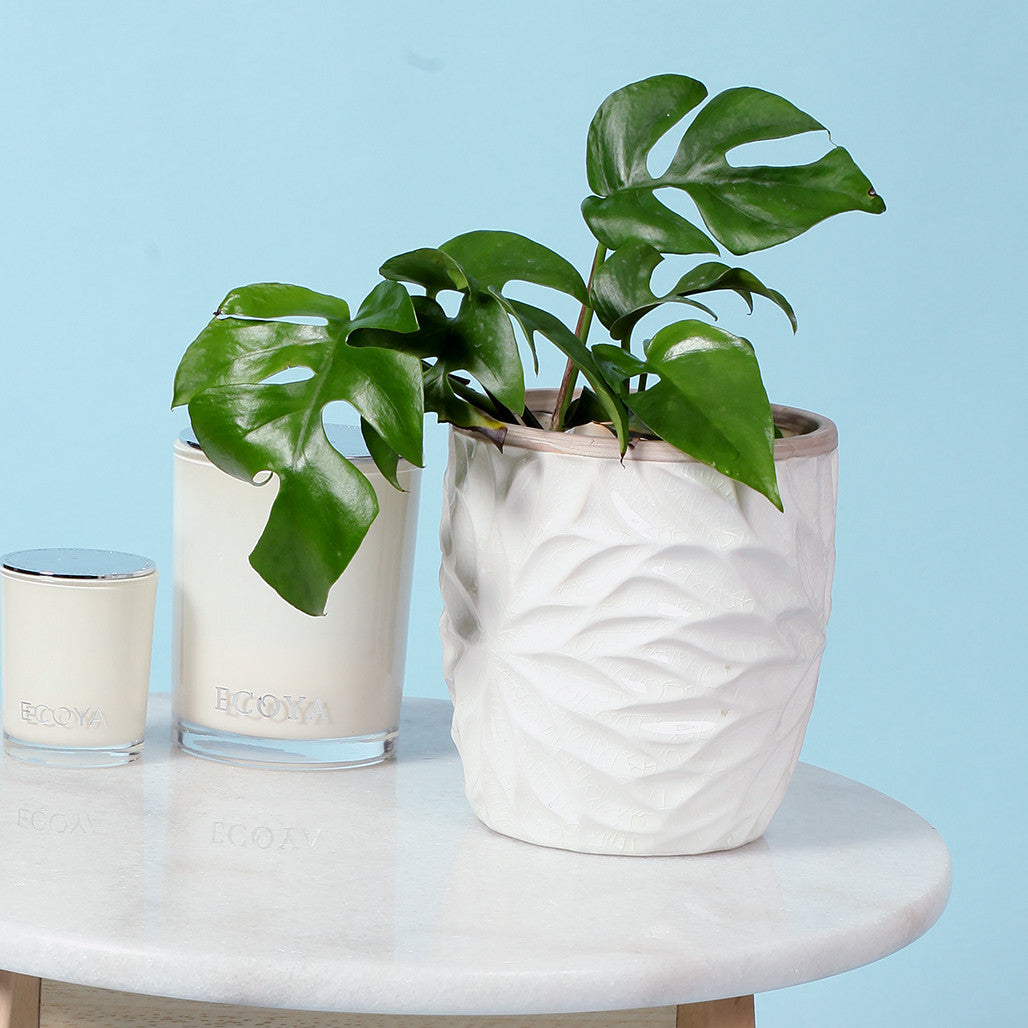 Ava Embossed Floral Ceramic Planter