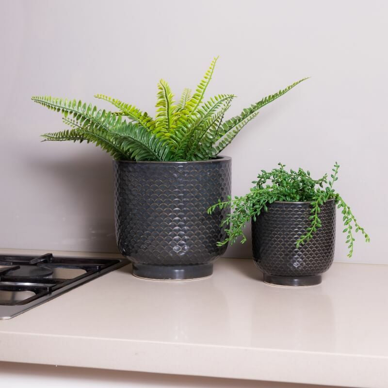 Pretty Shells Ceramic Planters