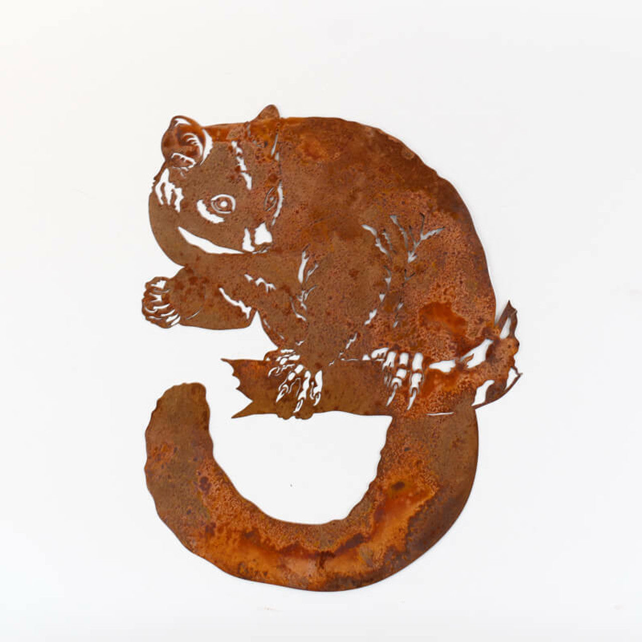 Possum Wall Art