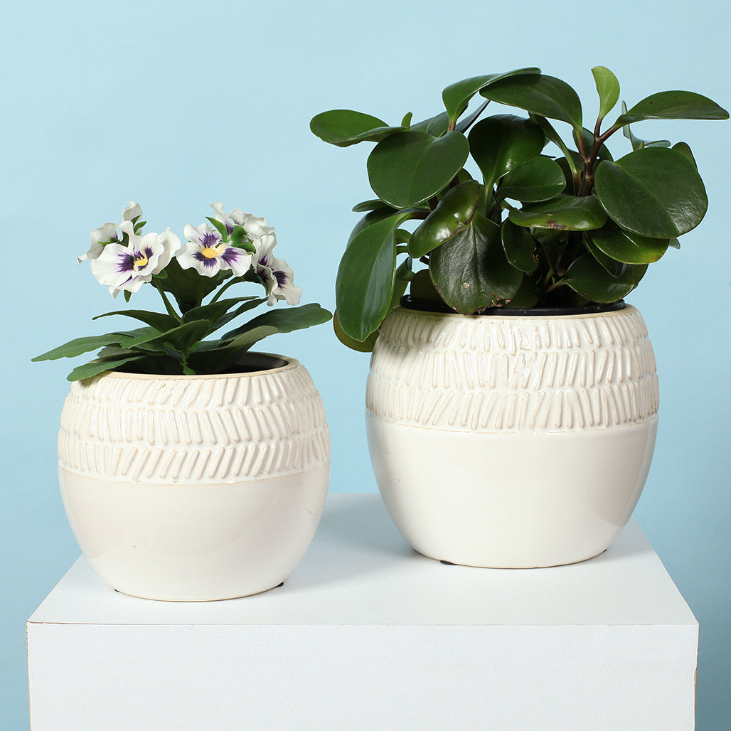 White Tribal Ceramic Pot