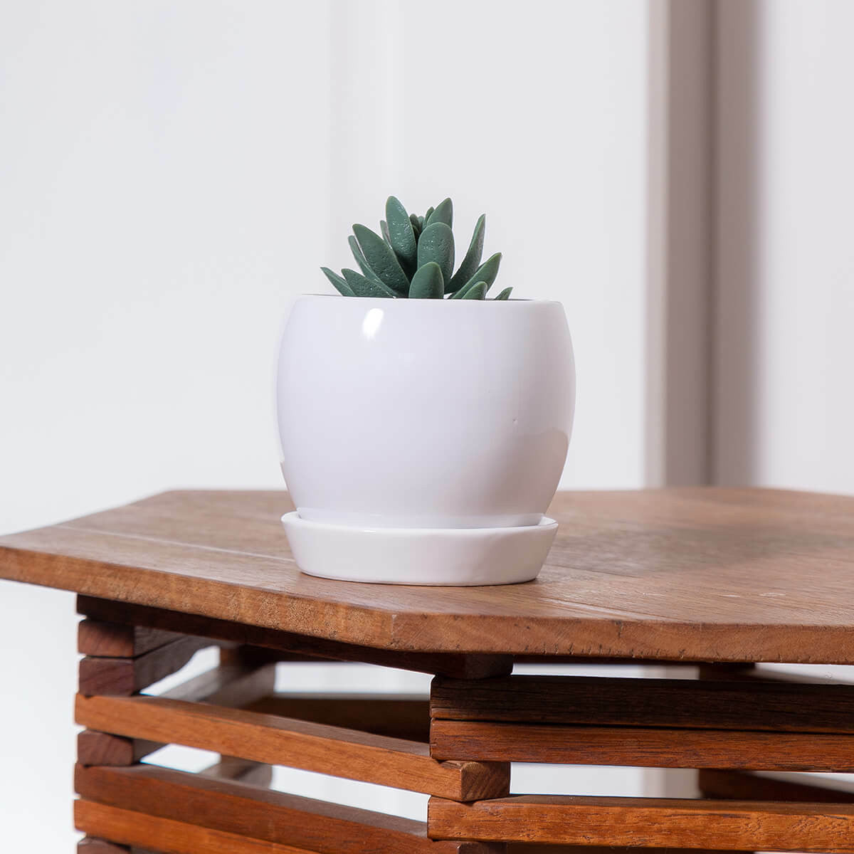Egg Ceramic Planter