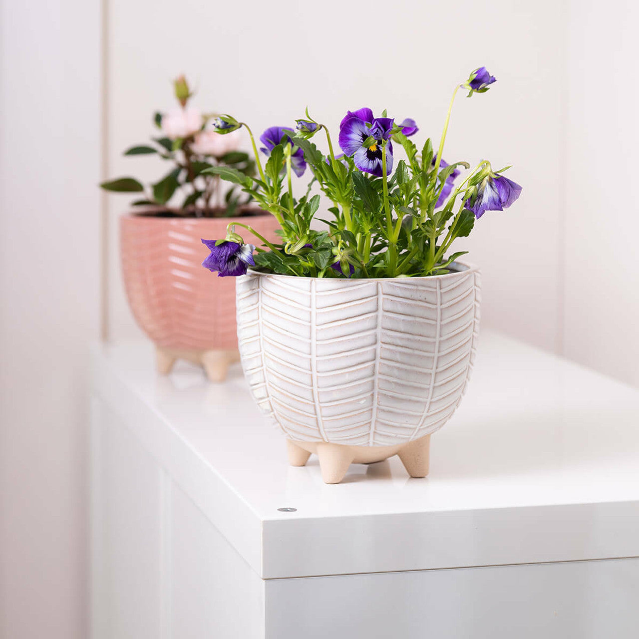 Dream Pot with Legs