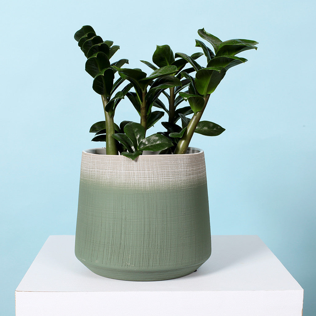 Horizon Patina Ceramic Pot