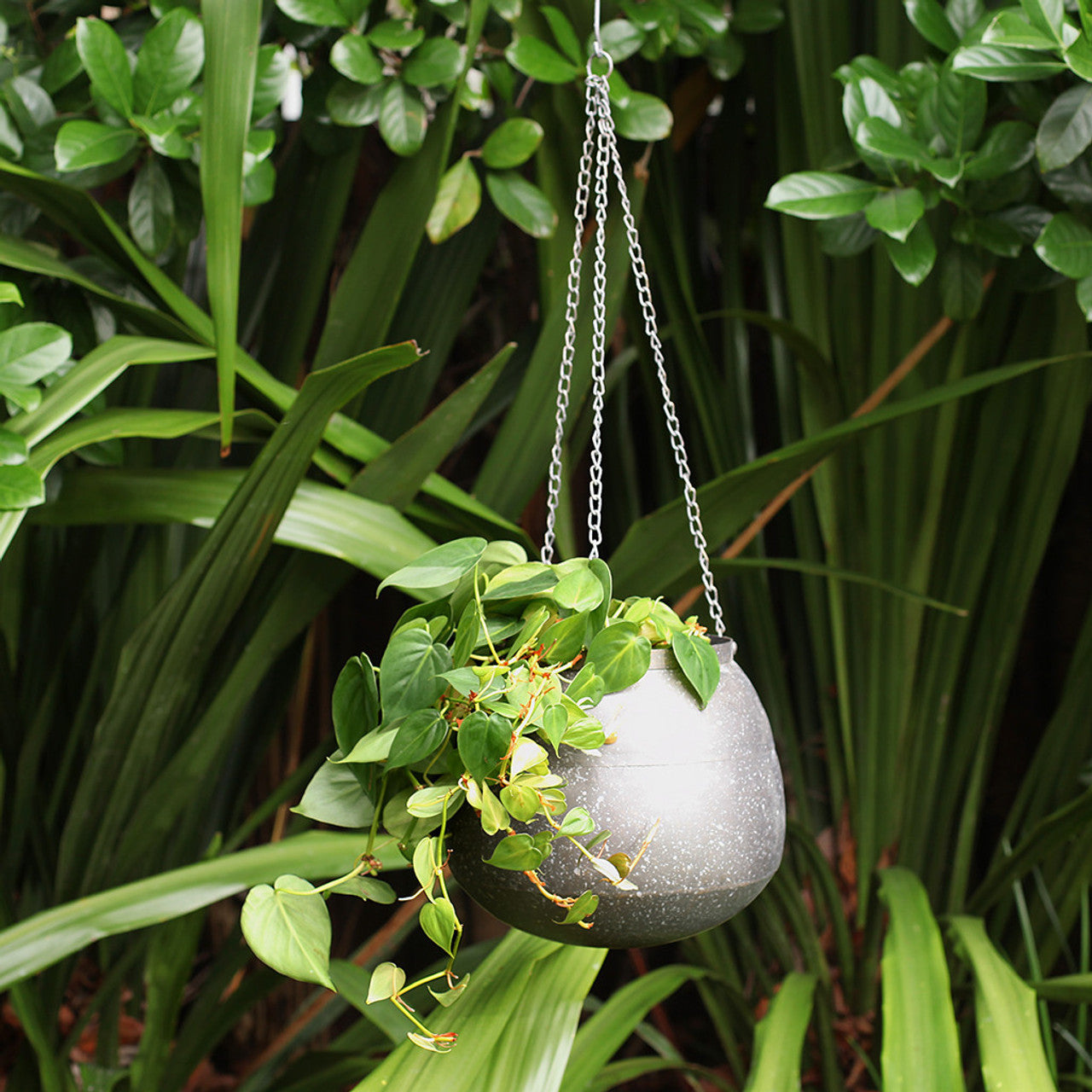 Metal Hanging Planter