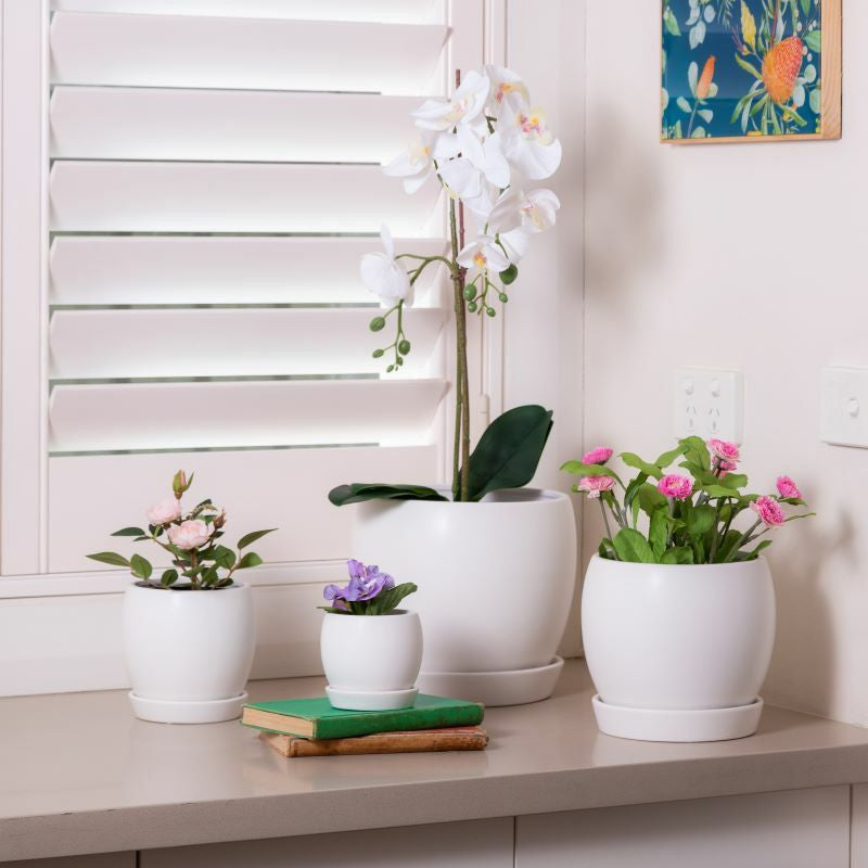 Egg Ceramic Planter