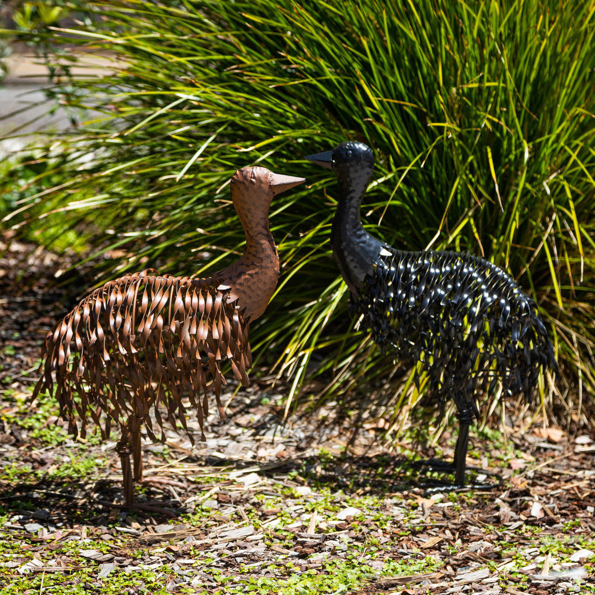 Rusty the Chick and Shadow the Chick