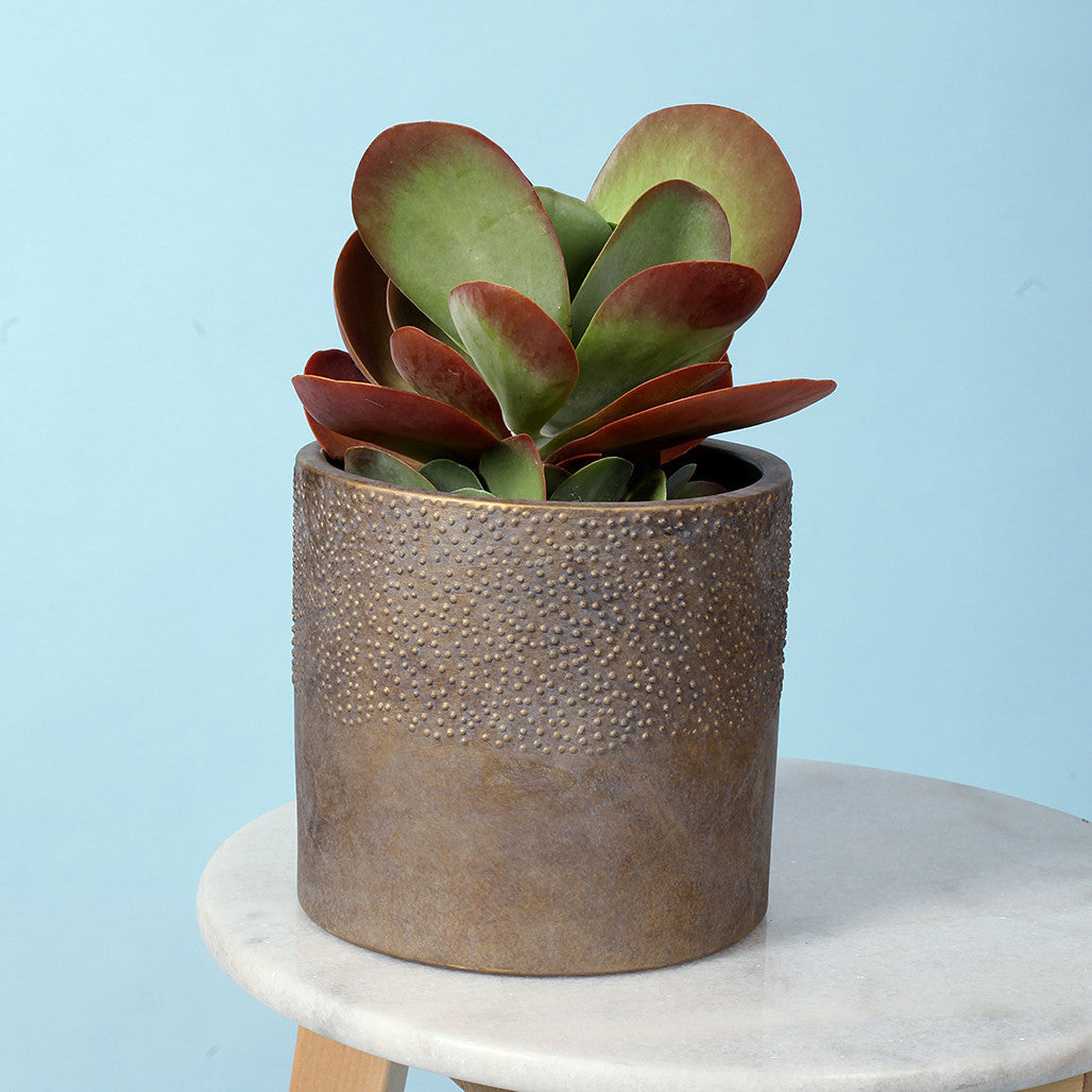 Textured Gold Pot