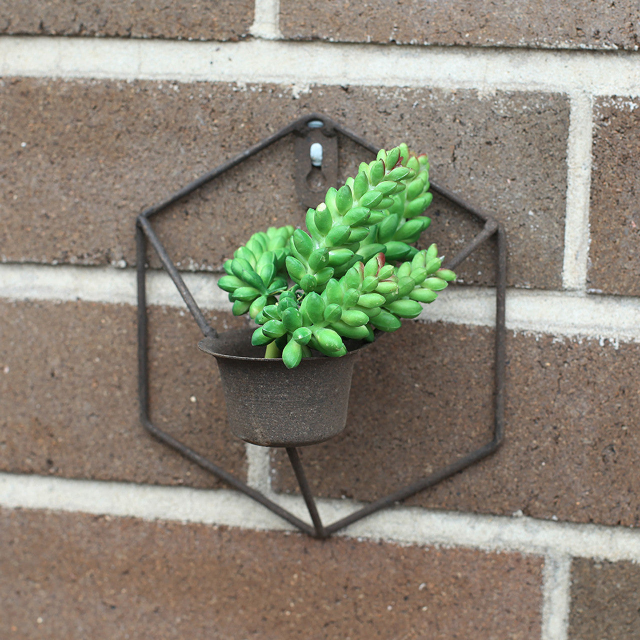 Rustic Mini Wall Planter