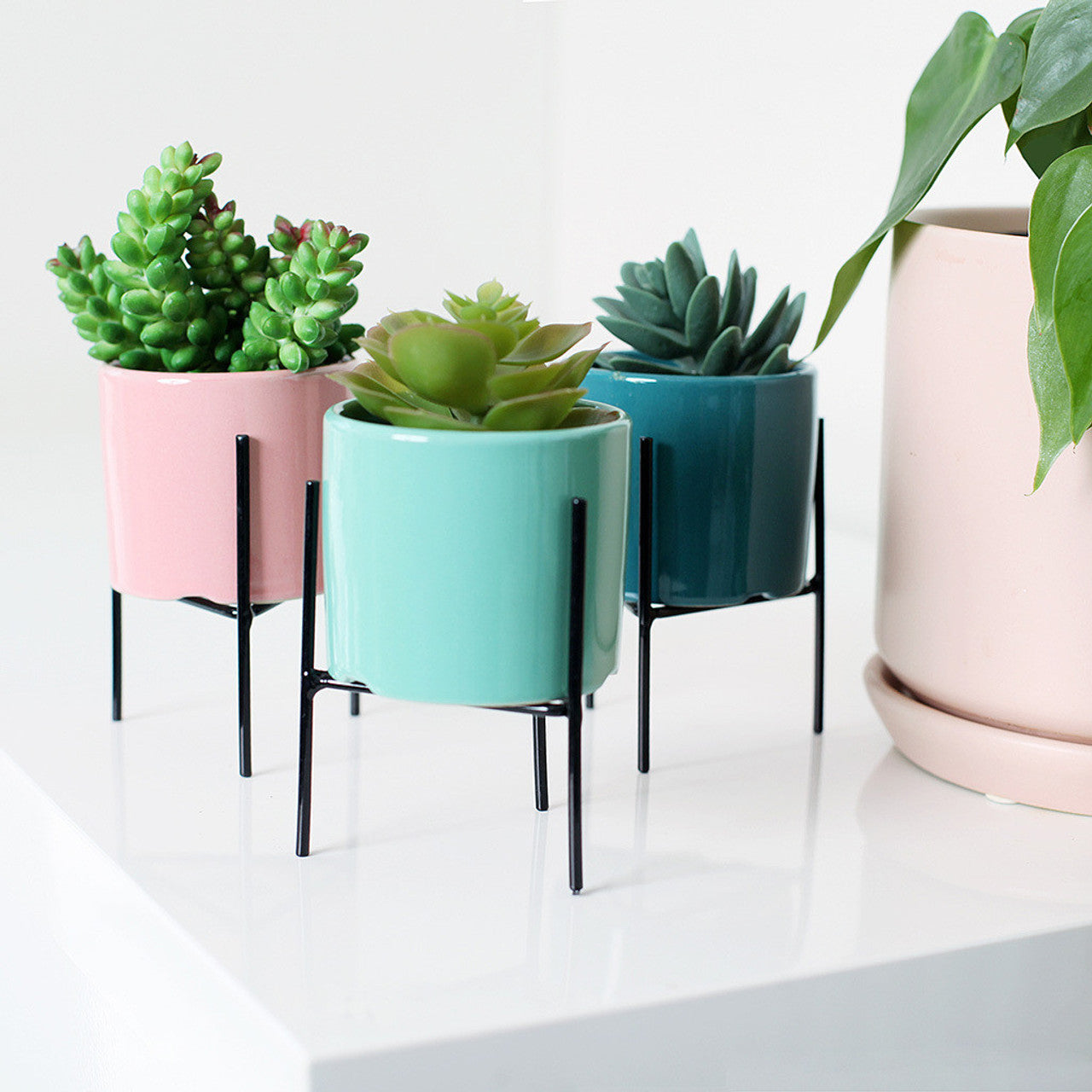 Mini Ceramic Planters Set of 3