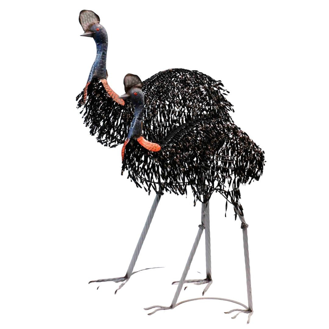 Cassowaries Bird Metal Garden Decor Set of 2