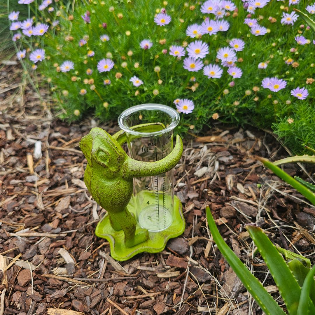 FROG RAIN GAUGE