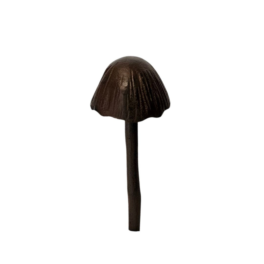 Cast Iron Cap Mushroom