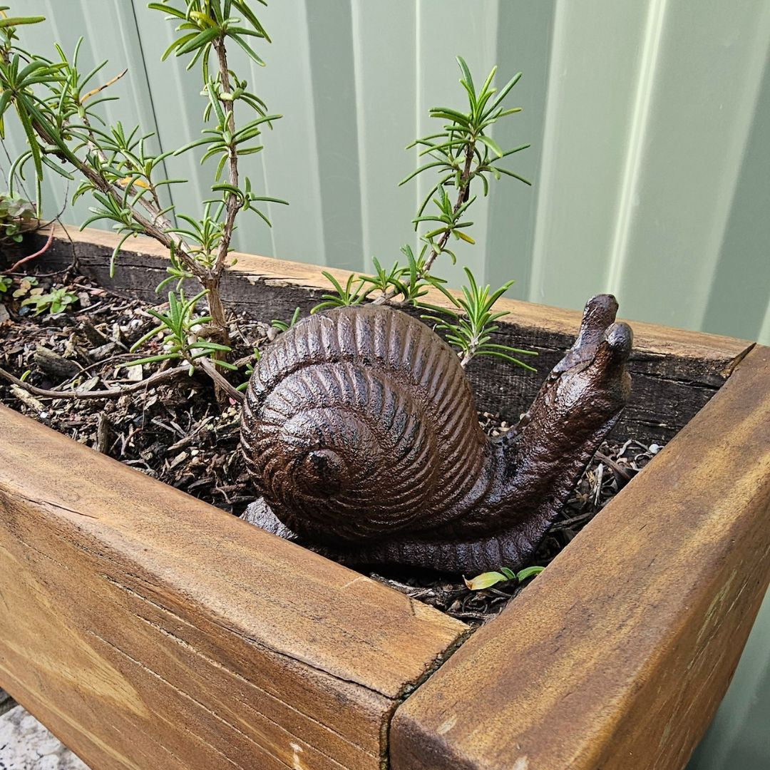 Cast Iron Garden Snail