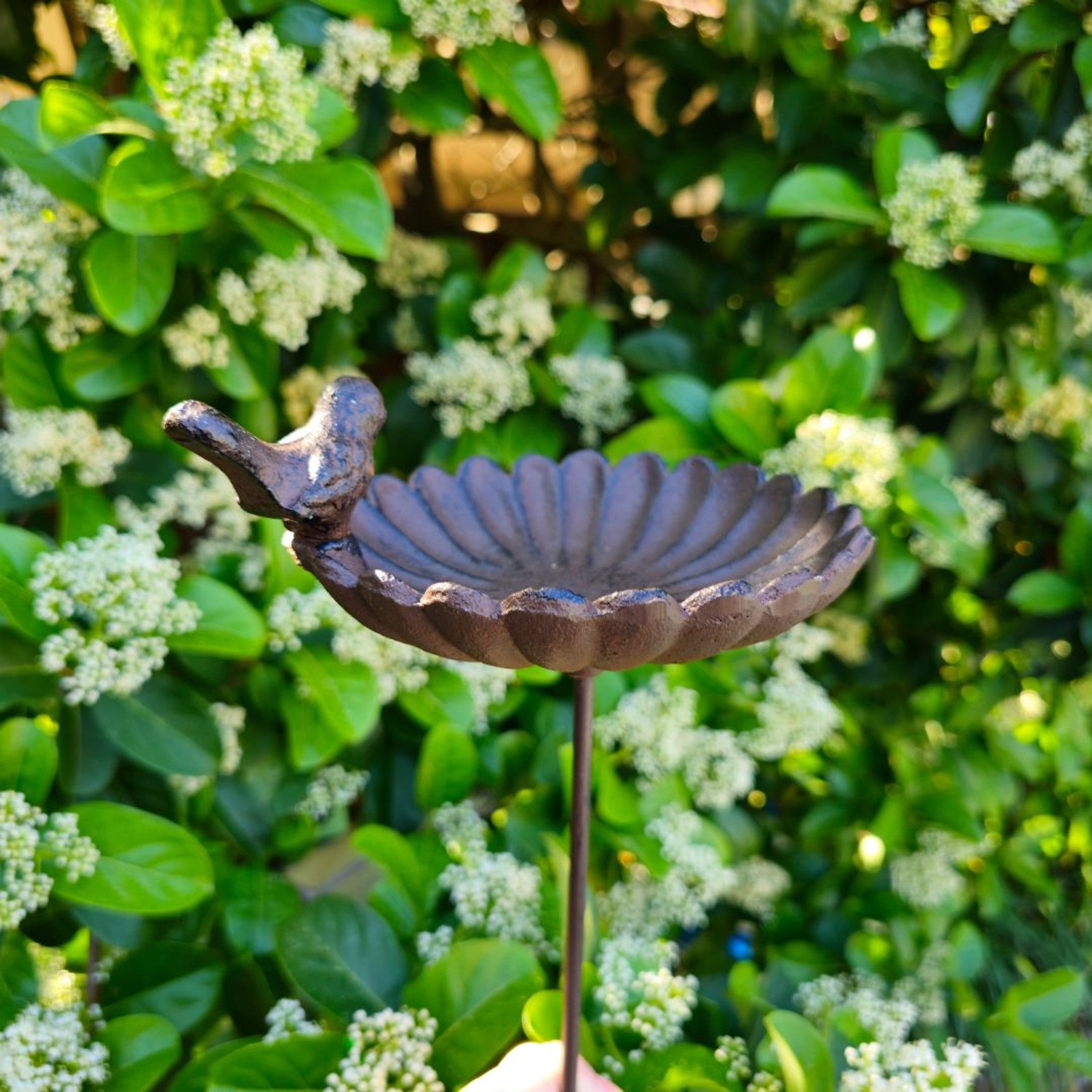 Cast iron flower birdfeeder