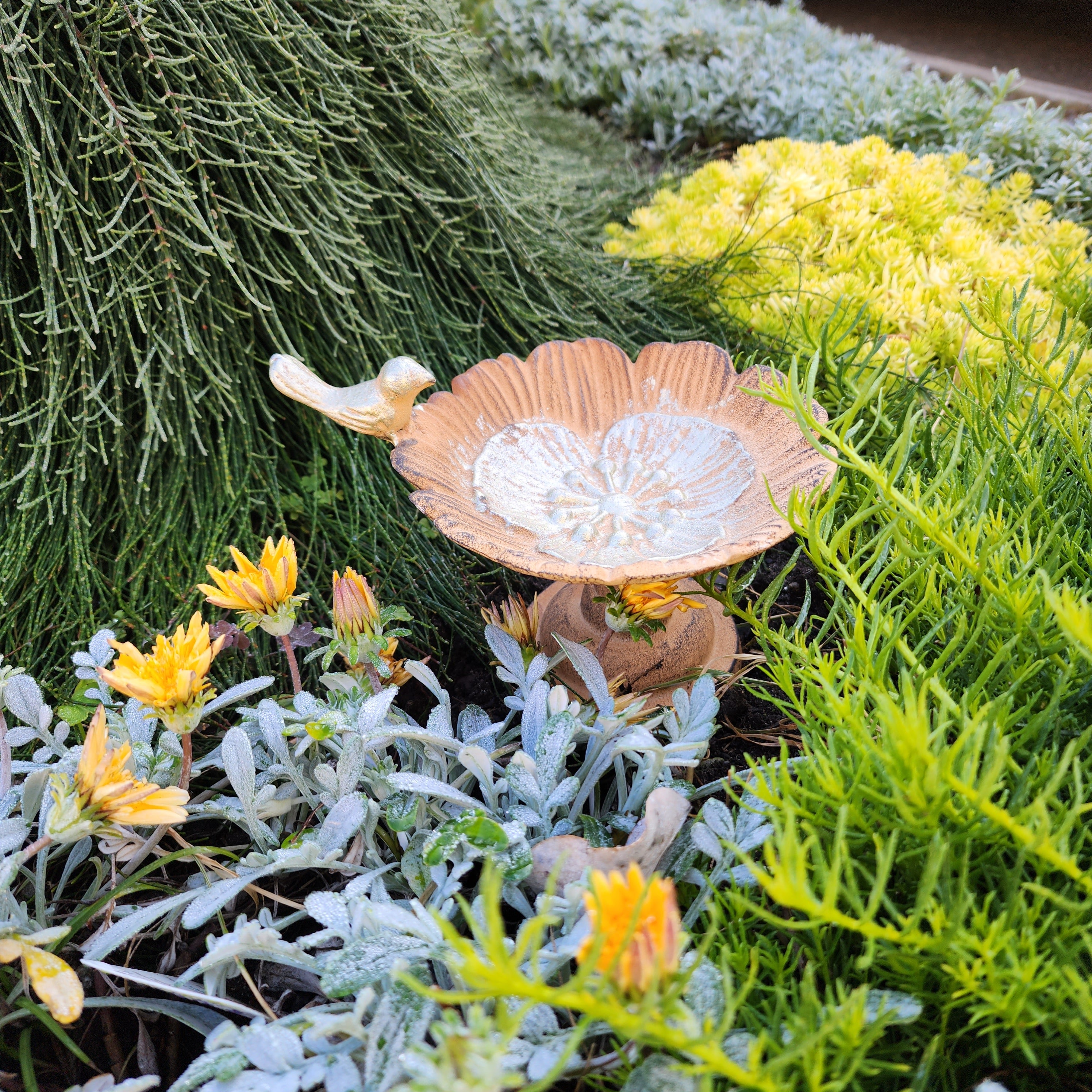 Cast Iron Bird Bath