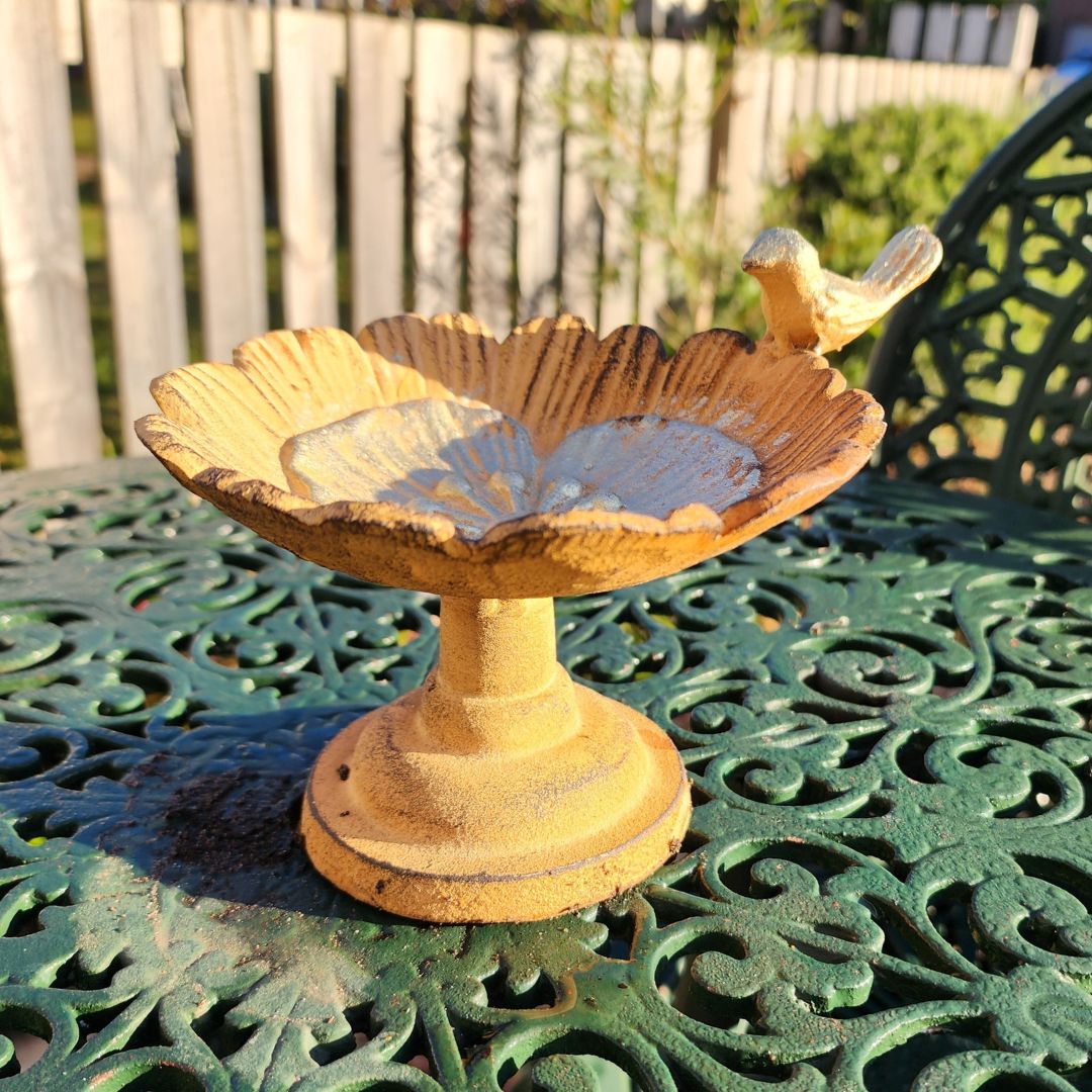 Cast Iron Bird Bath