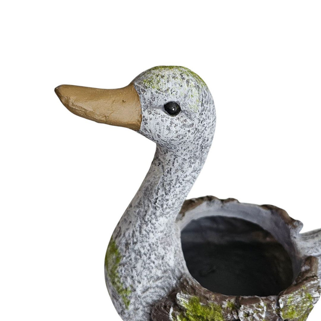 DUCK PLANTER