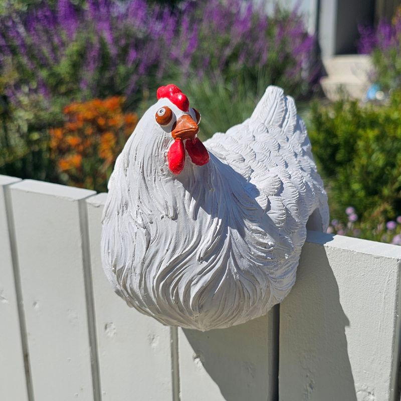 FENCE HEN - WHITE