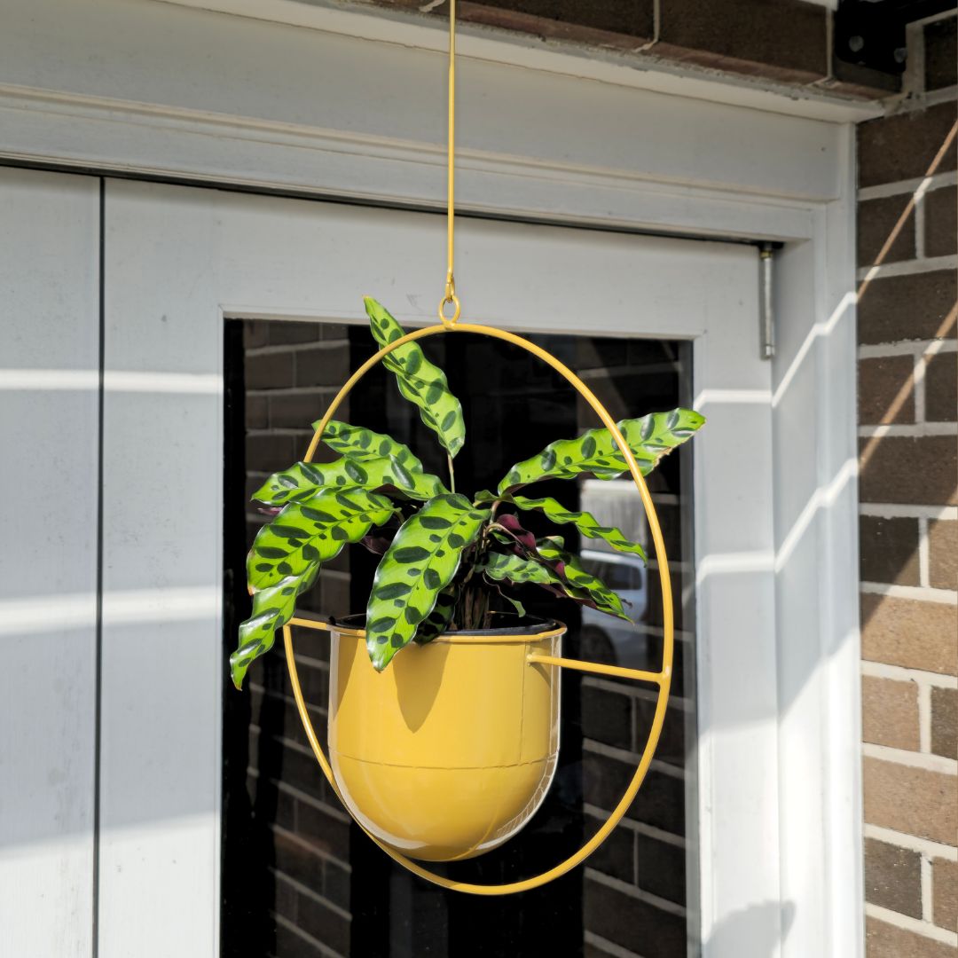 Contemporary Metal Hanging Planter