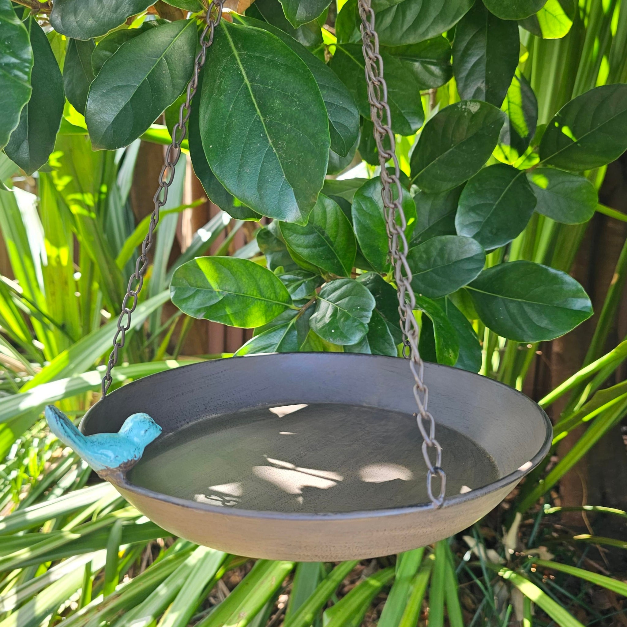 Blue Bird Feeder