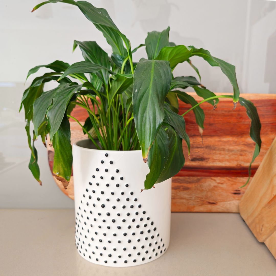 Pyramid Dot Pot