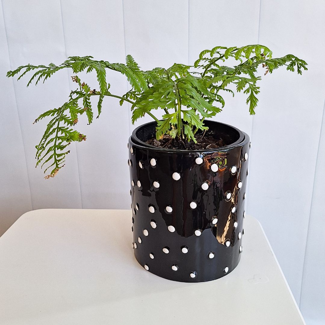 Dalmatian Pot