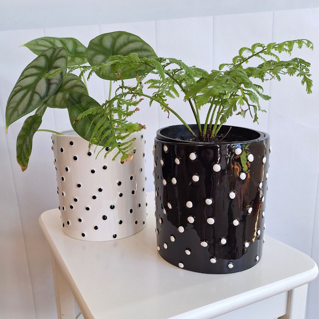 Dalmatian Pot