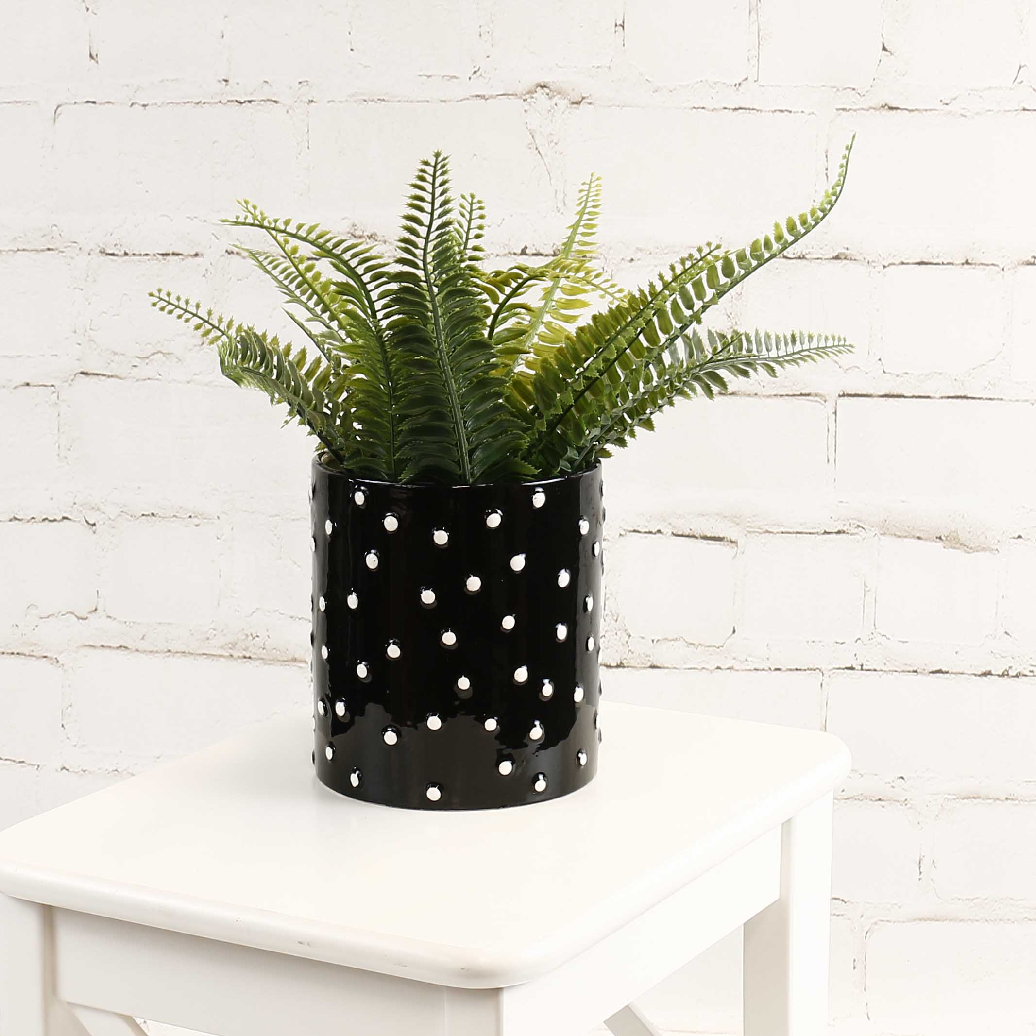 Dalmatian Pot