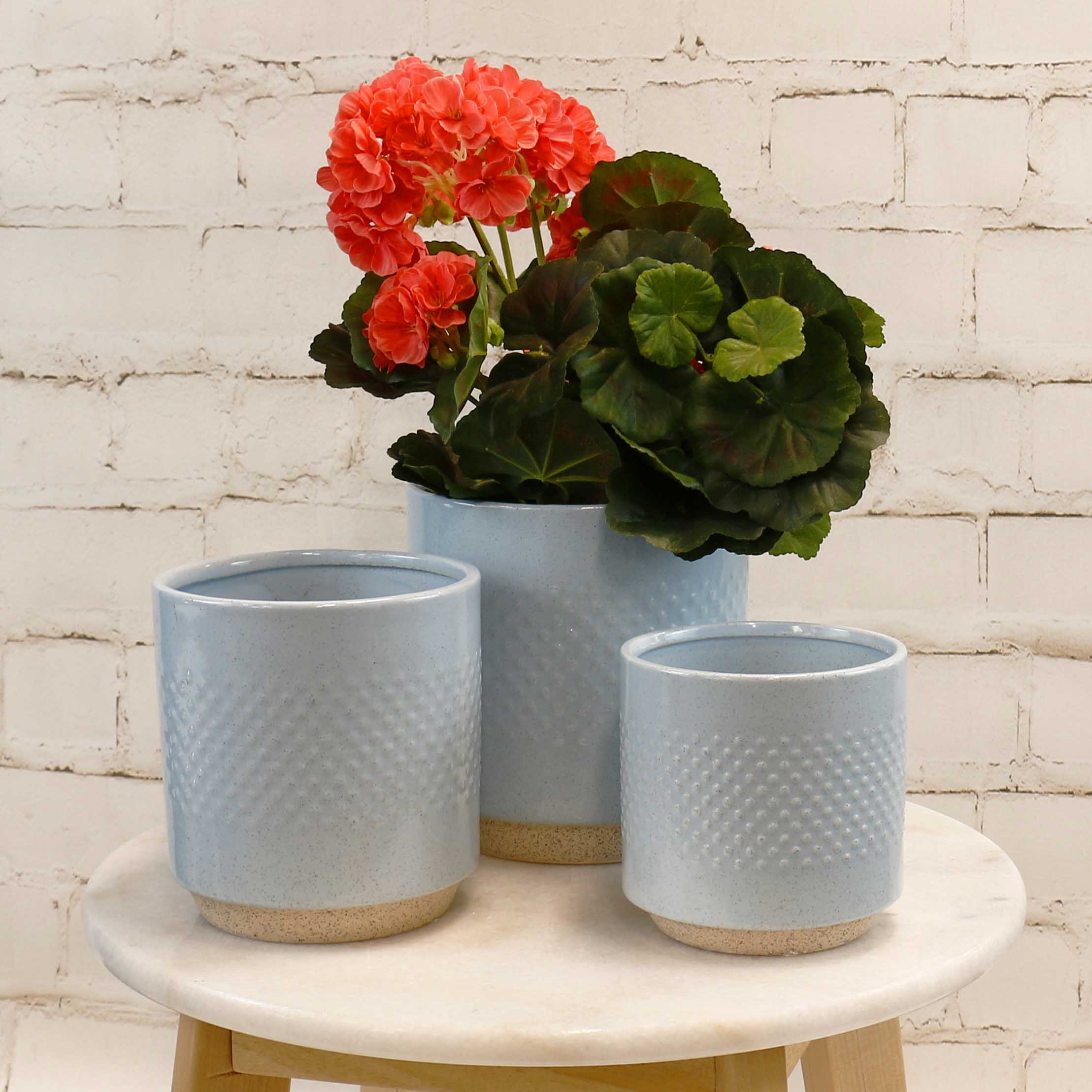 Embossed Ceramic Spot Pots