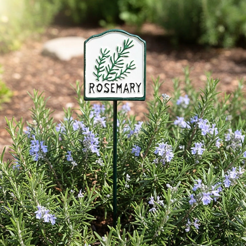 Colourful Rosemary Herb Garden Stake