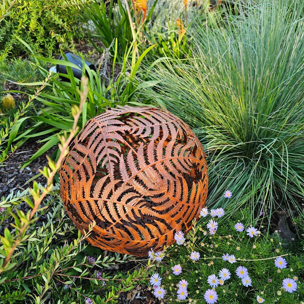 FERN BALL - MEDIUM