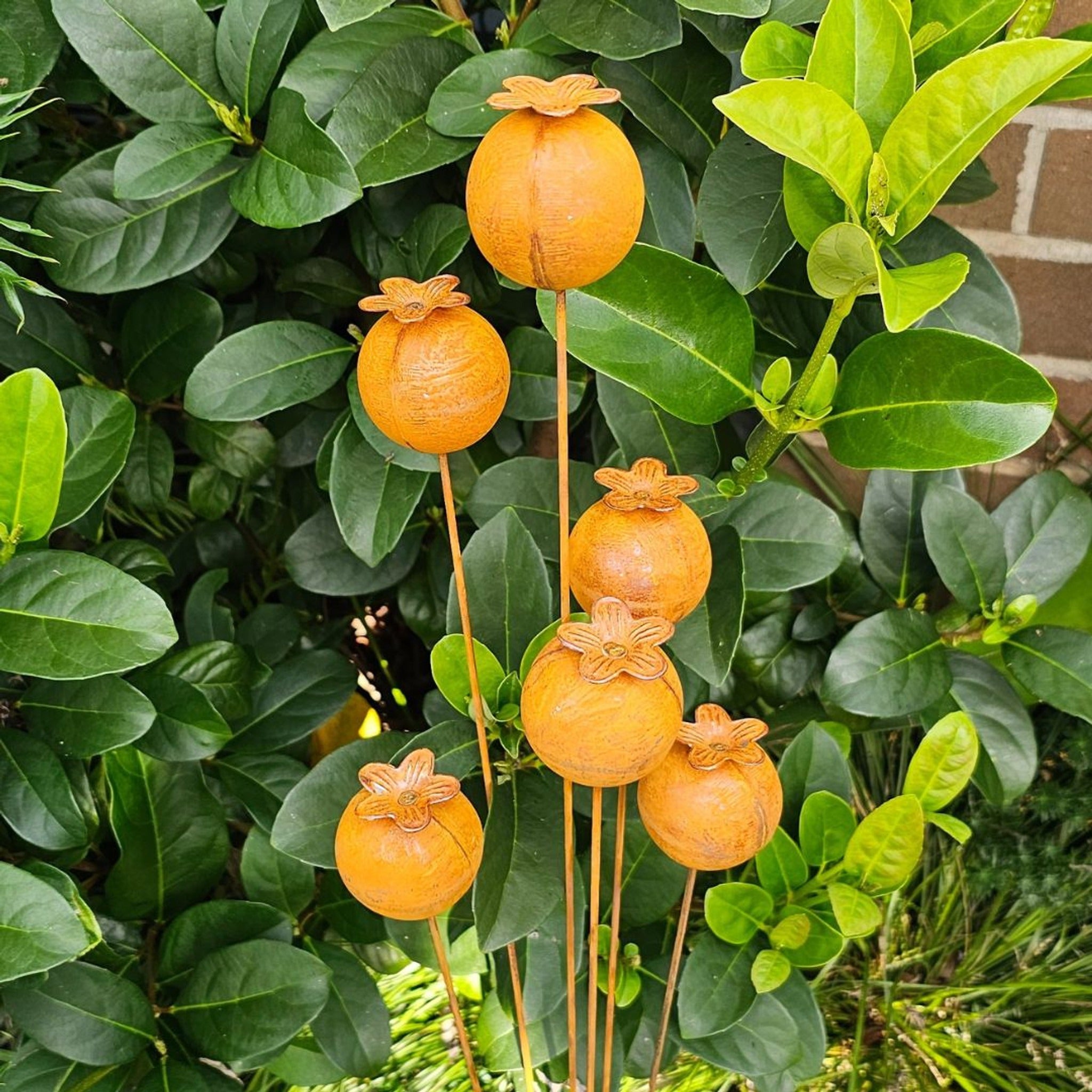 Rust Poppy Buds Stake