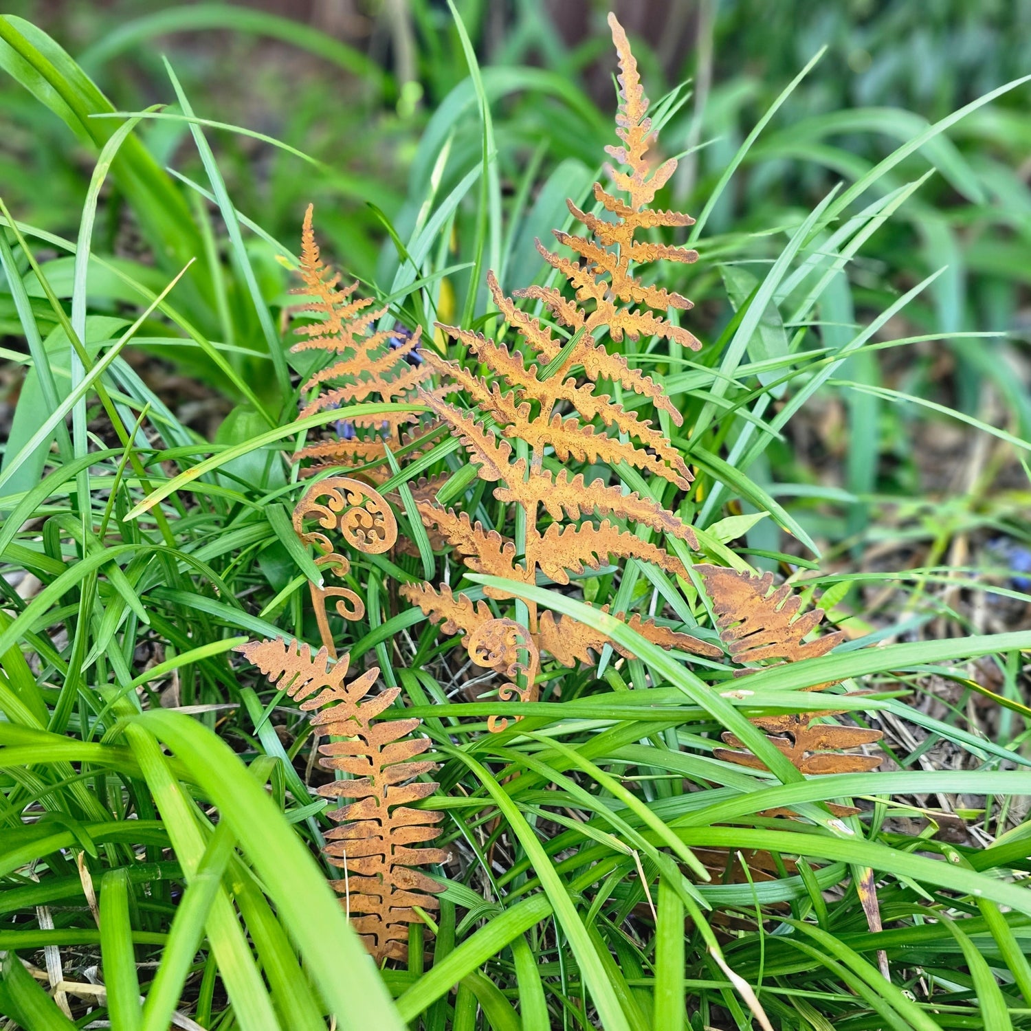 Fern Garden Stakes Set of 6