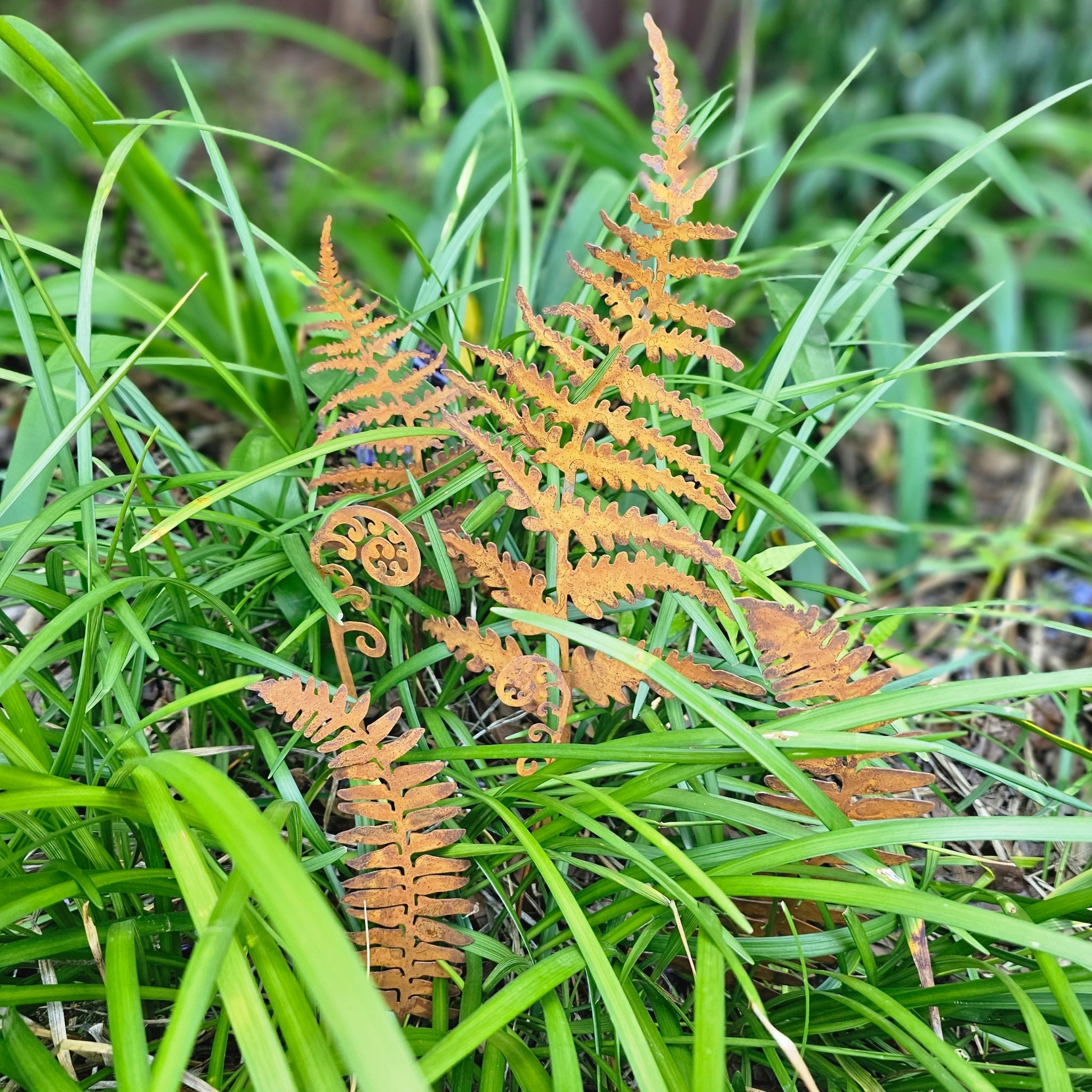 Fern Garden Stakes Set of 6