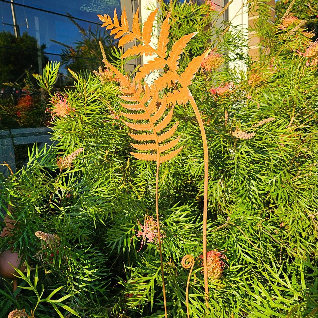 FERN STAKES LARGE