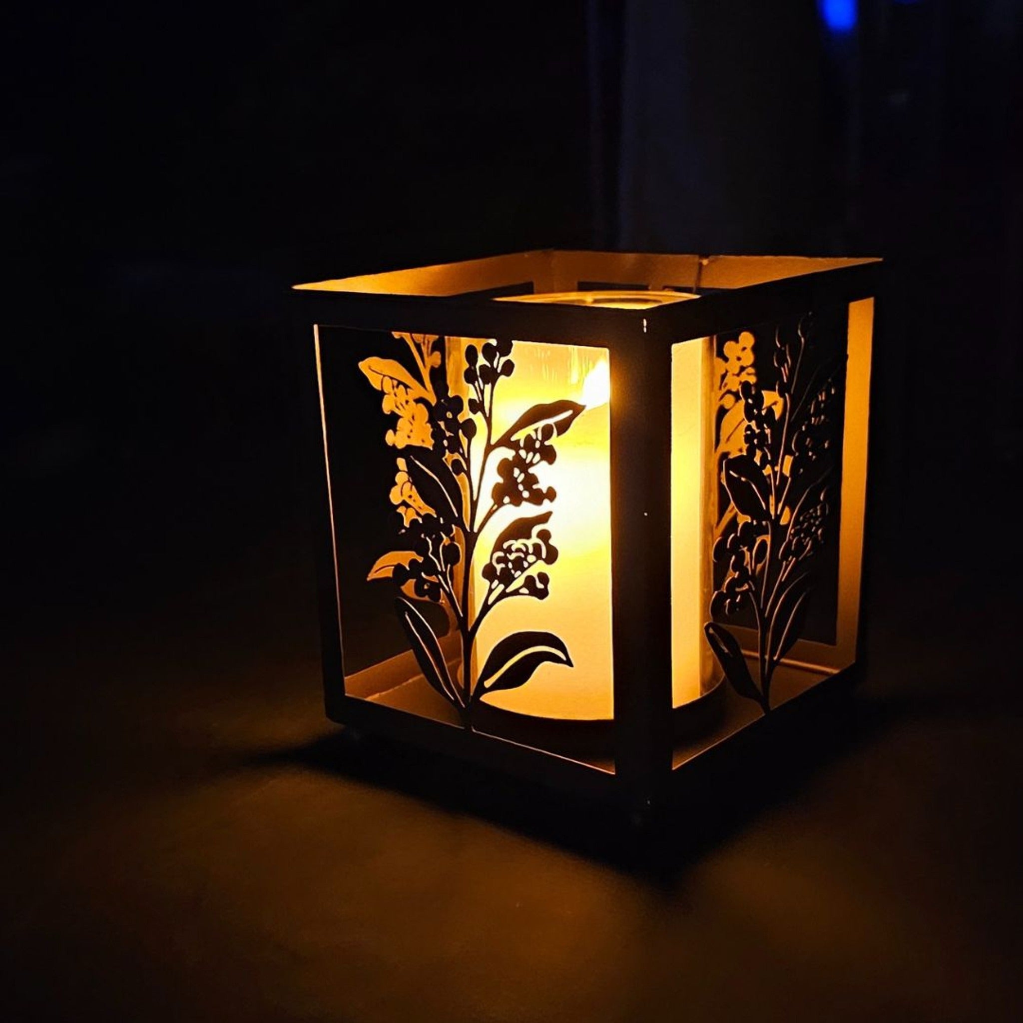 Wattle Bloom Lantern