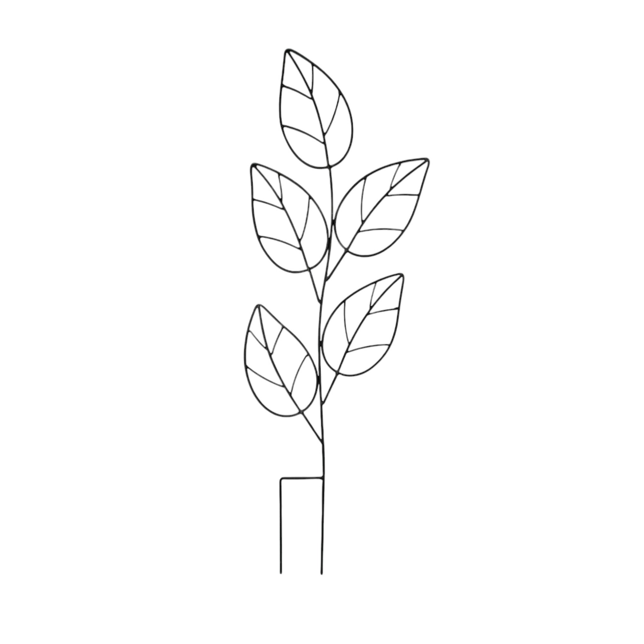 Growing frame leaves