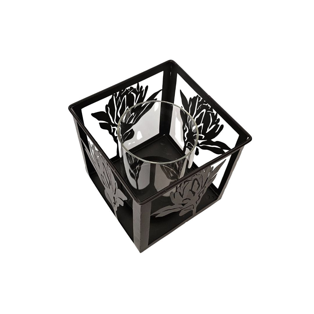 Protea Radiance Lantern