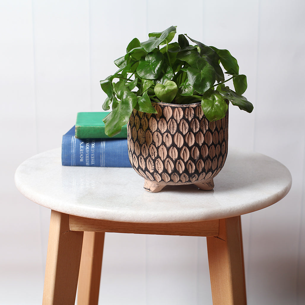 Embossed Leaf Planter