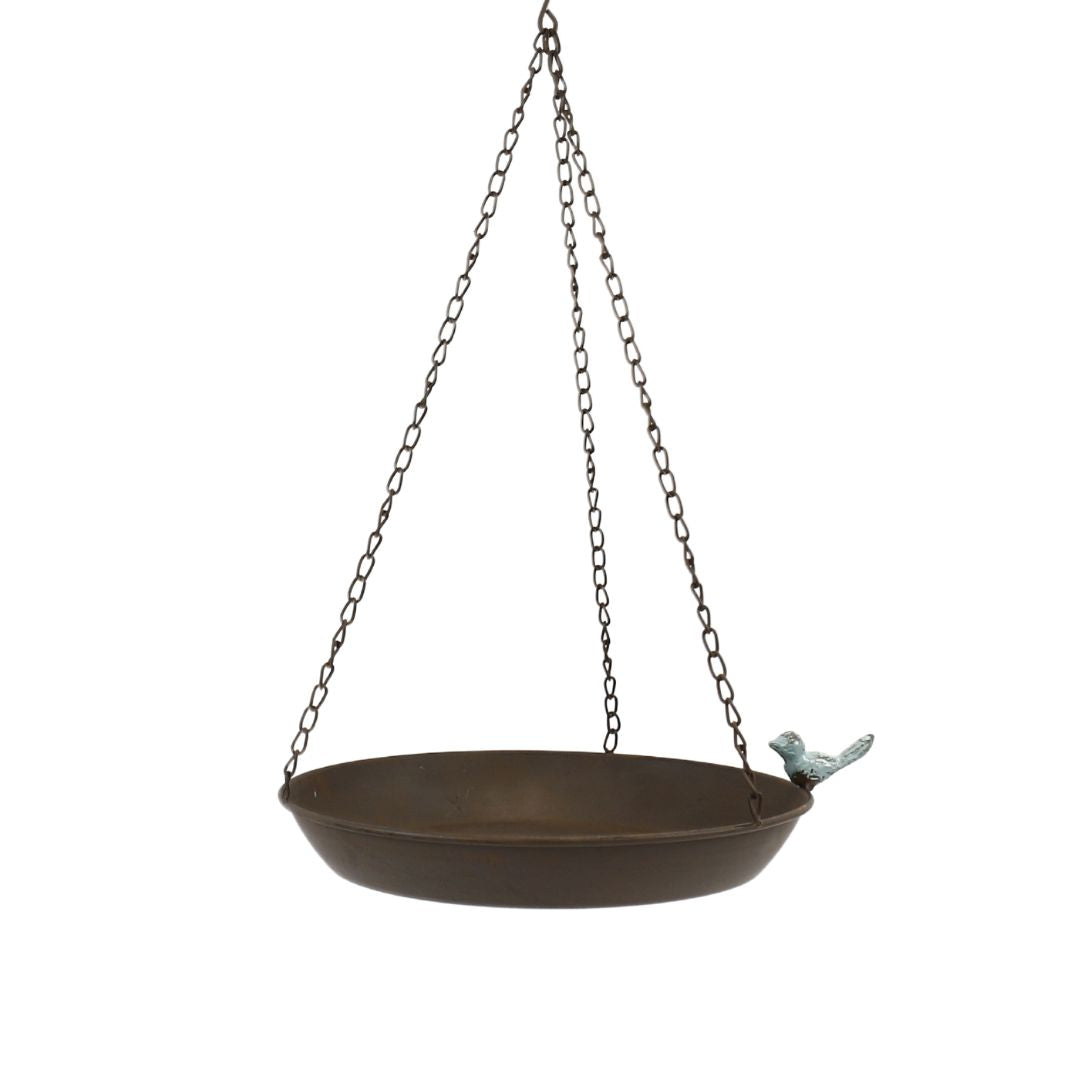 Blue Bird Feeder