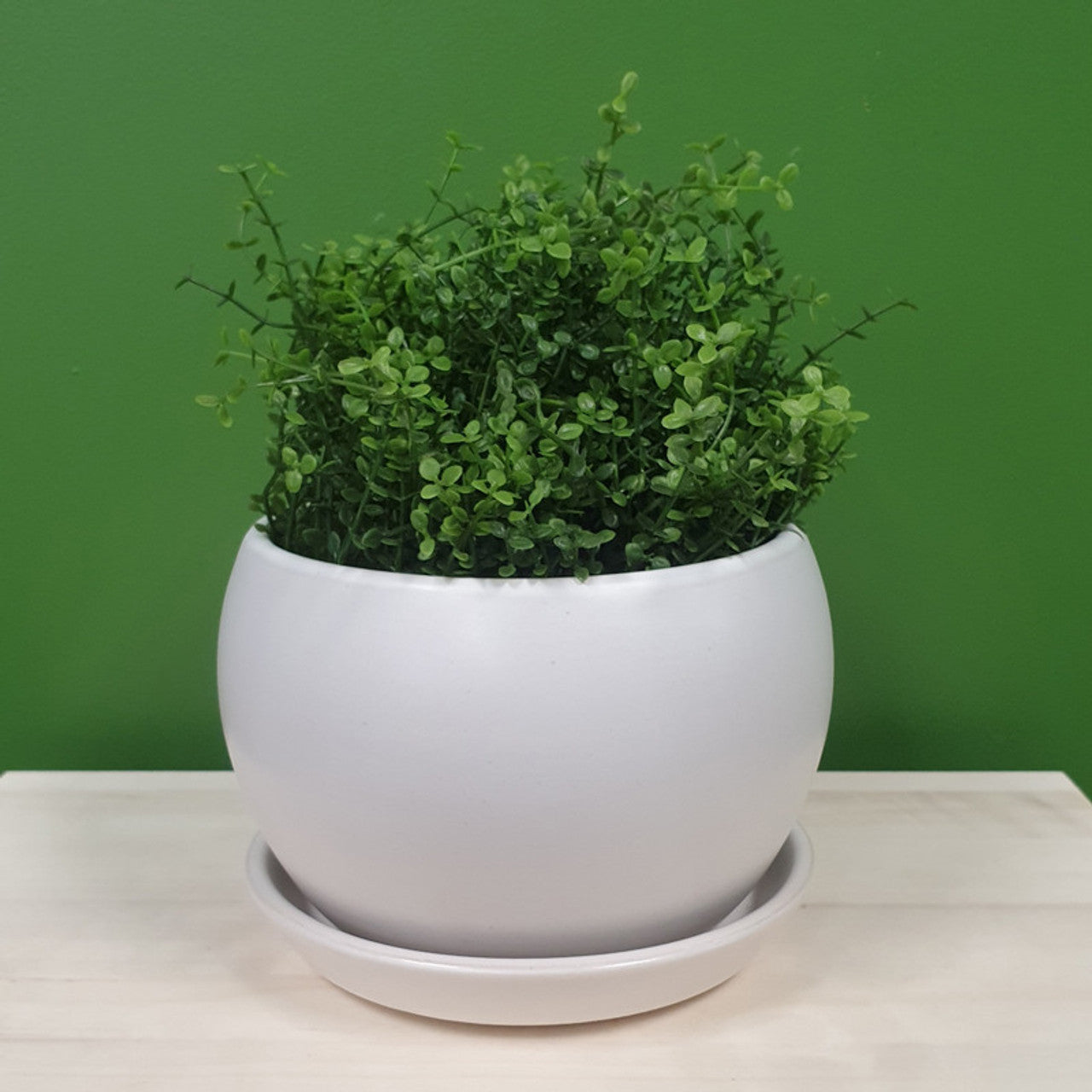 White Ball Pot