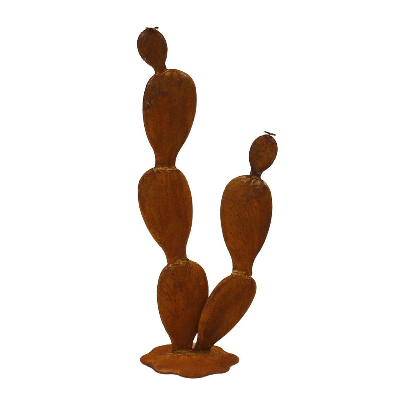 Cactus Garden Decor