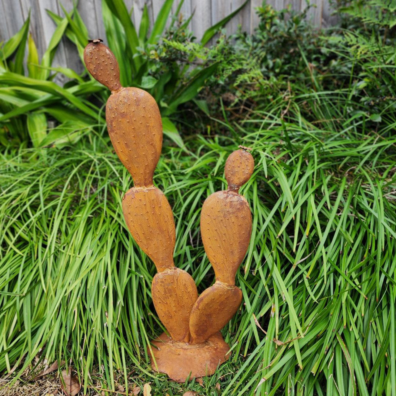 Cactus Garden Decor