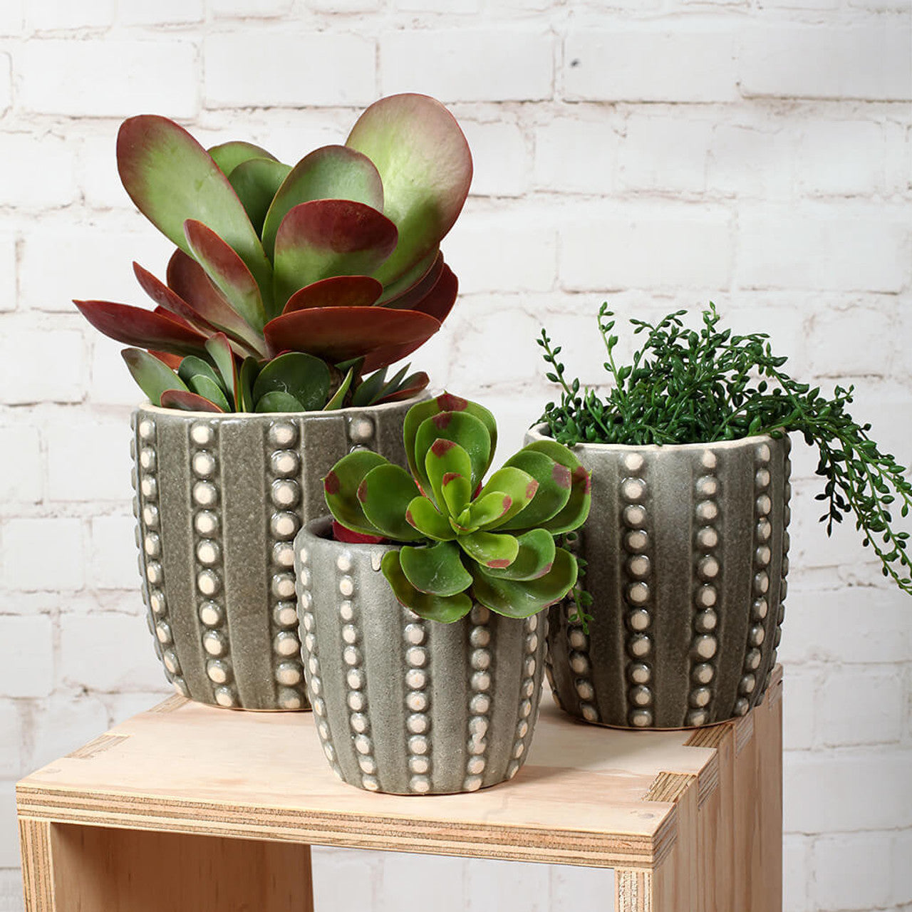 Cleo Bubble Ceramic Planter