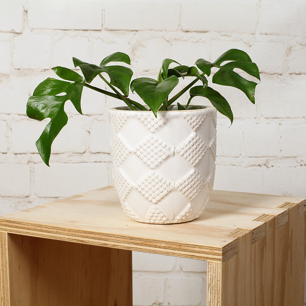 Diamond Ceramic Pot