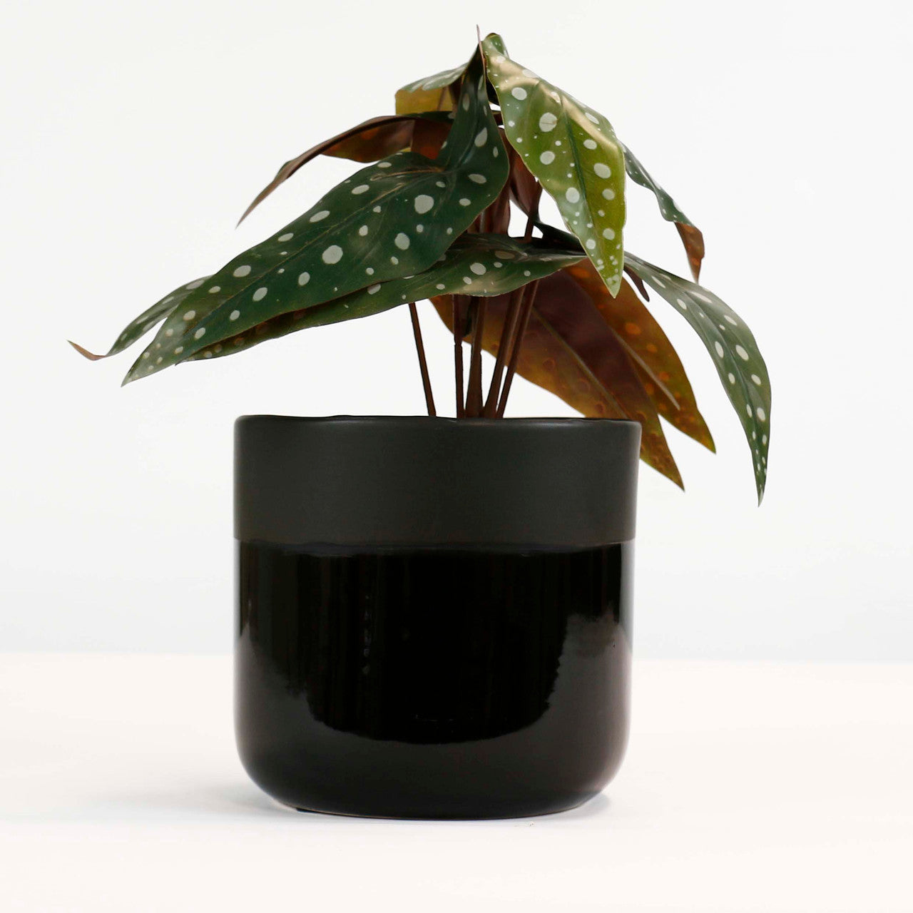 Glossy Black Ceramic Pot