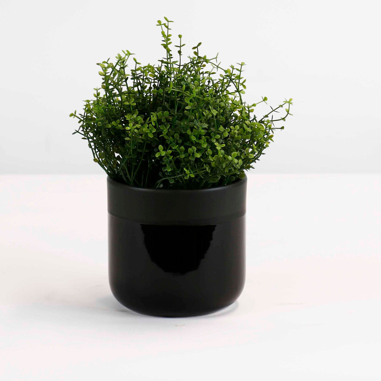 Glossy Black Ceramic Pot