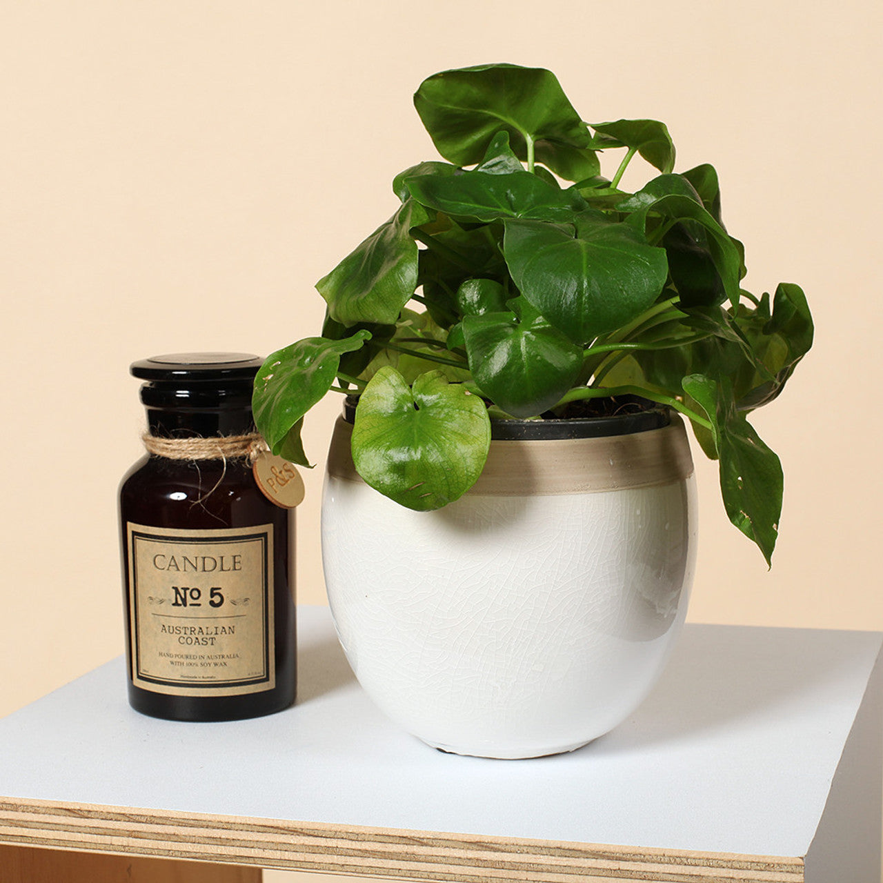 Glossy White/Natural Ceramic Pot