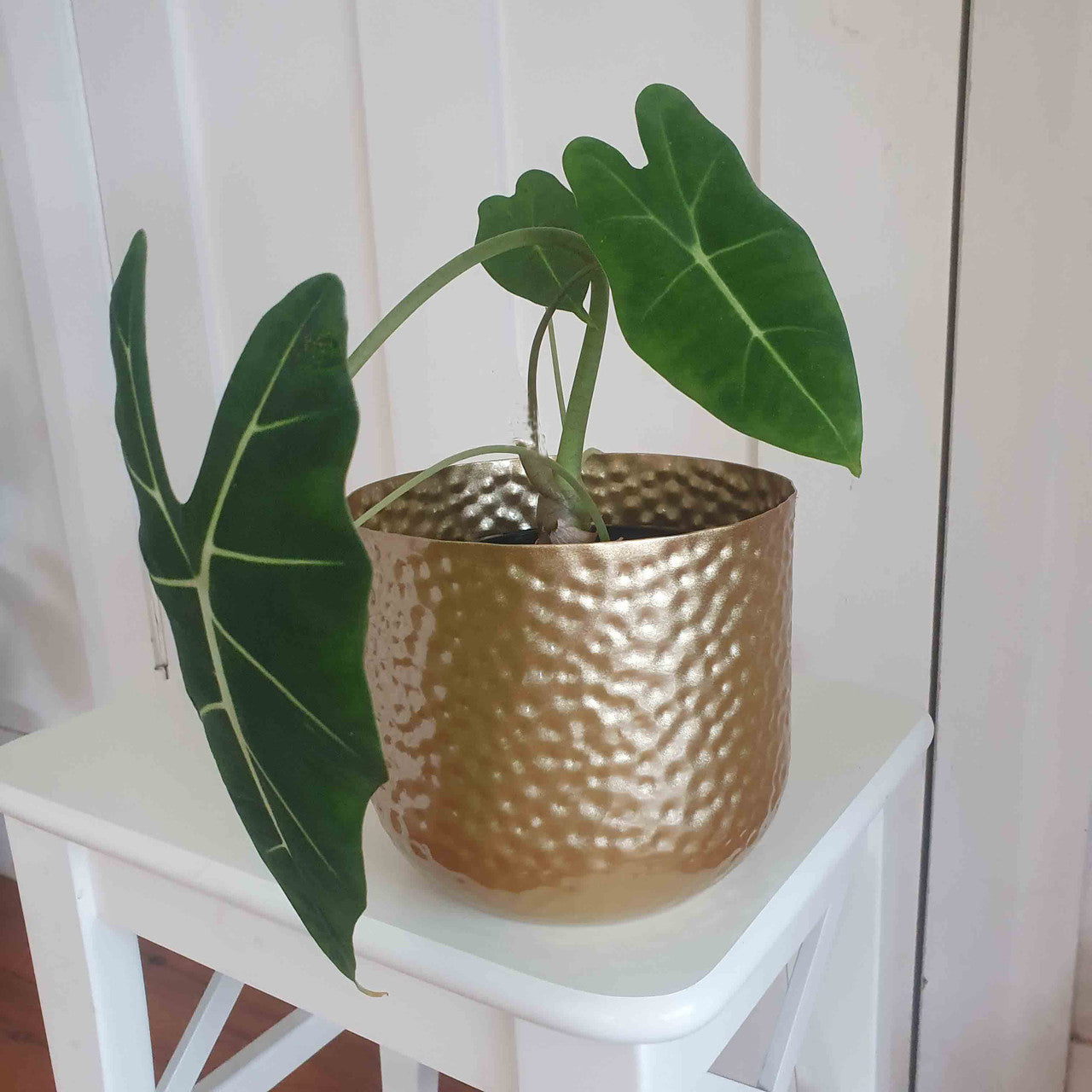 Gold Dimpled Pot